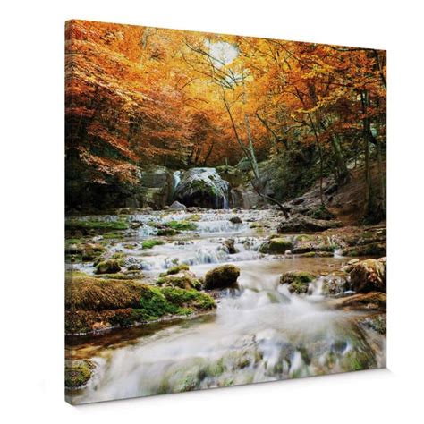 Autumn Waterfall Canvas Print Wall