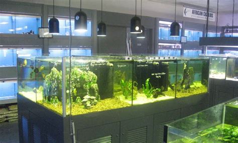 Aquarium Supplies Melbourne Largest Range In Melbourne Call 1300 My