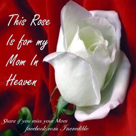 Facebook Mom In Heaven Miss Mom Remembering Mom