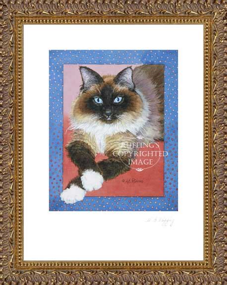 Patiently Waiting Fine Art Ragdoll Cat Giclee Print By Artist A E Ruffing