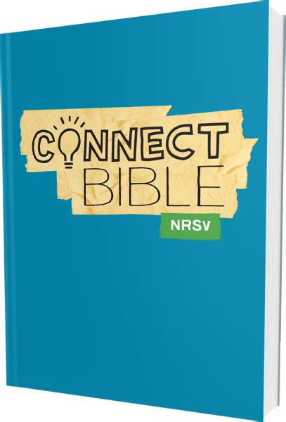 Connect Bible Nrsv Paperback Sparkhouse