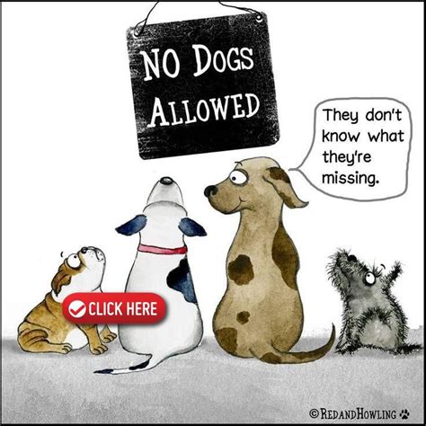The bordetella vaccine should be given to all puppies and dogs. Pin by Christine Stevenson on Lucy Lou | Dog quotes, Dog ...