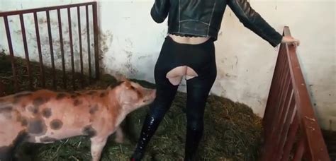 Pig Farm Porn Zoo Tube 1