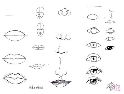 How To Draw Cartoon Faces For Beginners Drawing A Face Has Many