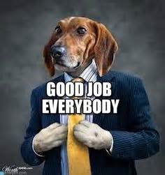 Sure, some experience with content creation software and email platforms would be great, but not required. 65 Best Dogs with Jobs -- Memes images | Dogs, Funny animals, Funny dogs