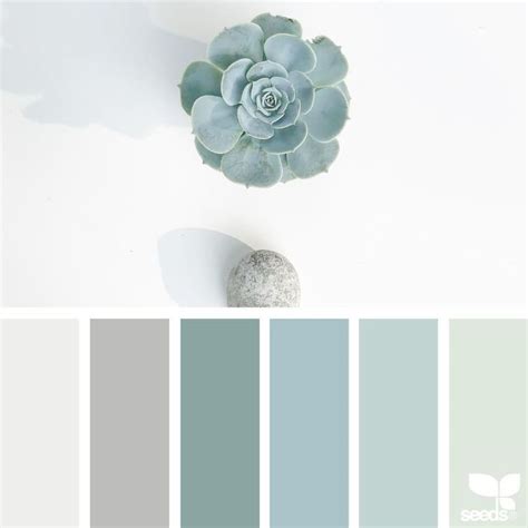 Succulent Color Palette White Grey Taupe Green Teal Ocean