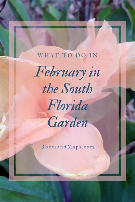 Little river cooperative has launched a new youtube channel with videos. February in the South Florida Garden in 2020 | Florida ...