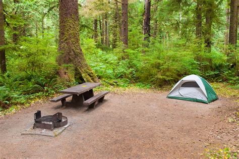 The Complete Visitors Guide To Olympic National Park Beyond The Tent