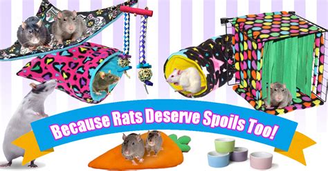 Rat Fleece Cozies Accessories And Edible Toys Guinea Pig Market
