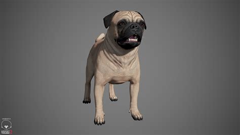 Artstation Pug Dog Game Ready Game Assets