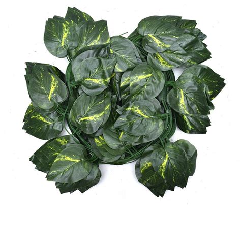 Green Polyester Artificial Money Plant Creeper Leaves Sizedimension