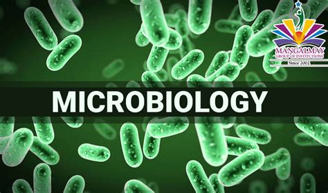 What Is Microbiology Branches Of Microbiology Scope Of Microbiology