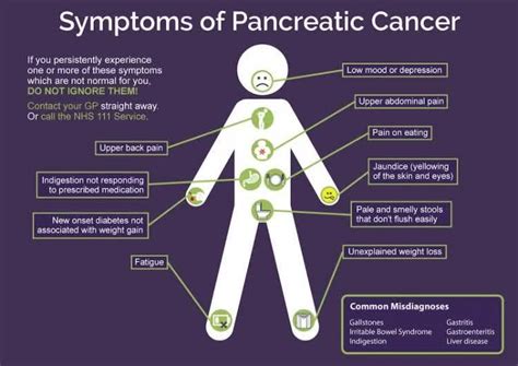 What Are The Symptoms Of Pancreatic Cancer As Unhealthy Pancreas