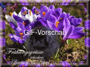 Wähle einfach das gewünschte bild aus der kategorie schönen sonntag bilder gif und klicke auf einen der. Herzige Bilder - bei funpot Sprüche und Lebensweisheiten ...
