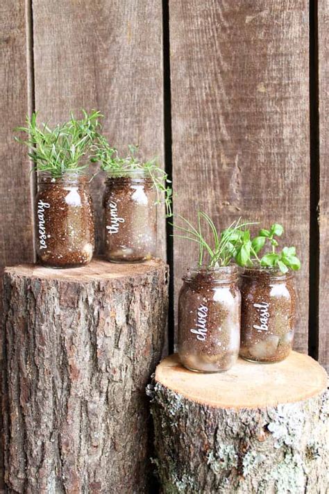 Mason Jar Herb Garden Grow Your Herbs From The Comfort Of