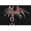 3D Asset Winged Demon Gargoyle  CGTrader