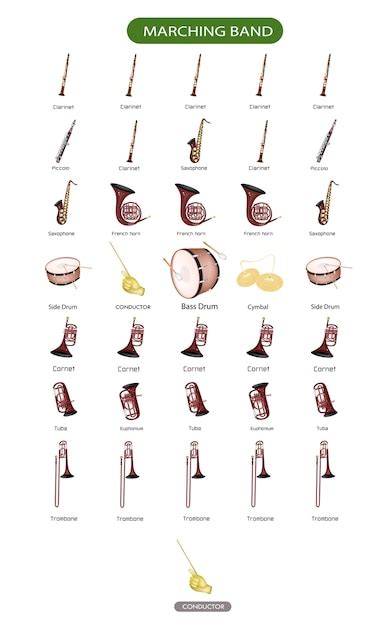 Diagram Of Musical Instrument For Marching Band Vector Premium Download