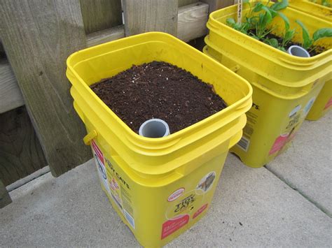 Self Watering Container Garden 5 Steps With Pictures Instructables
