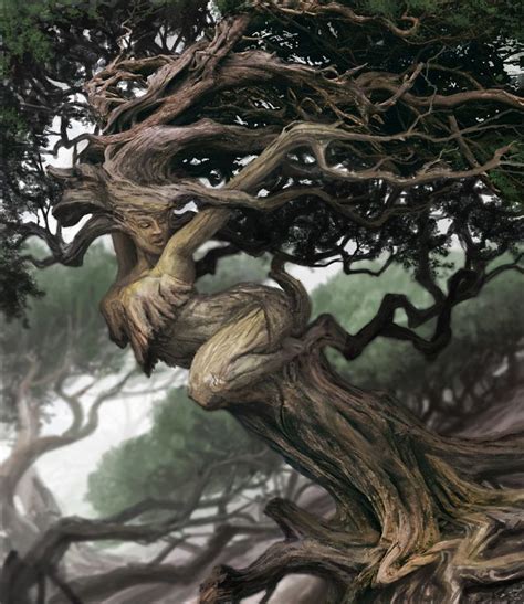 Fantasy Art Tree Curves Picture 2d Fantasy Tree Amazing Nature