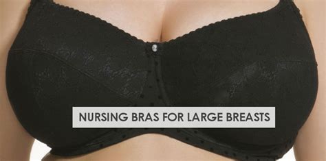 7 Best Nursing Bra For Large Breasts 2023 Stork Mama