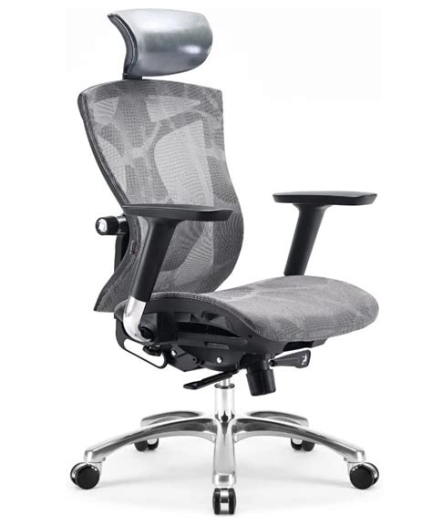 SIHOO Ergonomic Office Chair Most Expensive Office Chair 735x896 