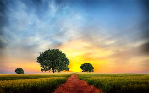 Sunset Over Dirt Path In Field Hd Wallpaper Background Image