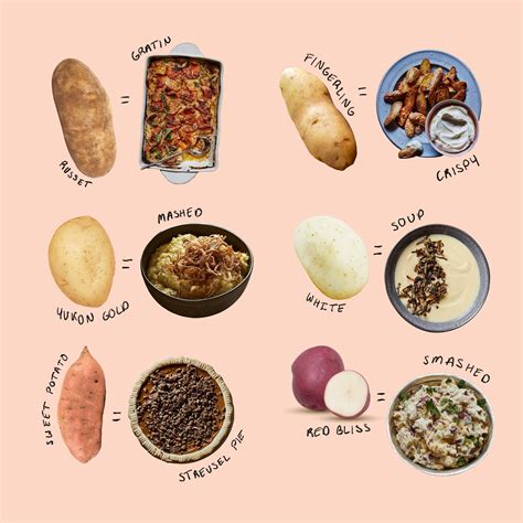 15 Different Types Of Potatoes With Pictures Types Of Potatoes Food Info Recipes Vlr Eng Br