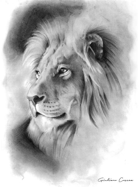 Lion Pencil By Giox On Deviantart