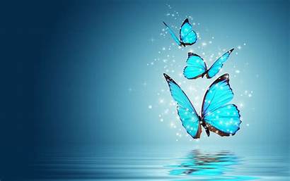Butterfly Desktop Wallpapers Water Digital Reflection Posted