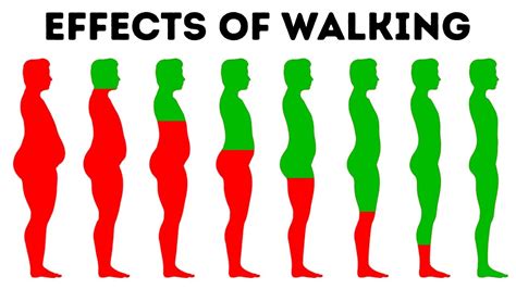 How Walking 5 Km A Day Can Help You Lose Weight