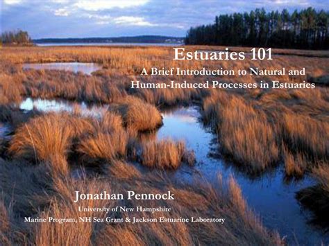 Ppt Estuaries 101 A Brief Introduction To Natural And Human Induced