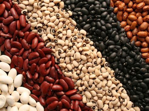 Nigeria Spends N16bn Yearly To Import Beans From Neighbouring Countries