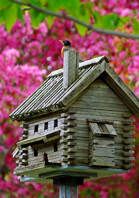 Log Cabin Birdhouse By Cherylorraine Smith Unique Bird Houses Bird