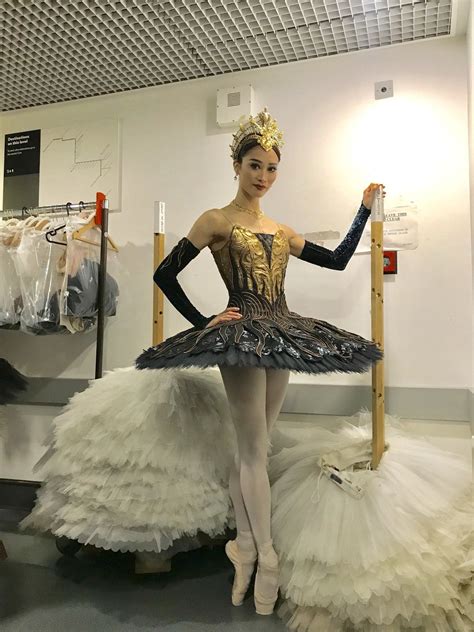 Swan Lake Costumes — Ballet Style Dance Outfits Ballet Dress Ballet