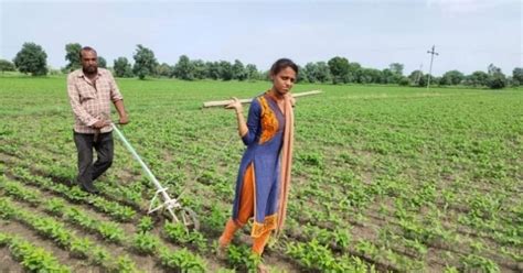 Families In Penury Mother Indias Daughters Pull Ploughs In The Fields Of Mp
