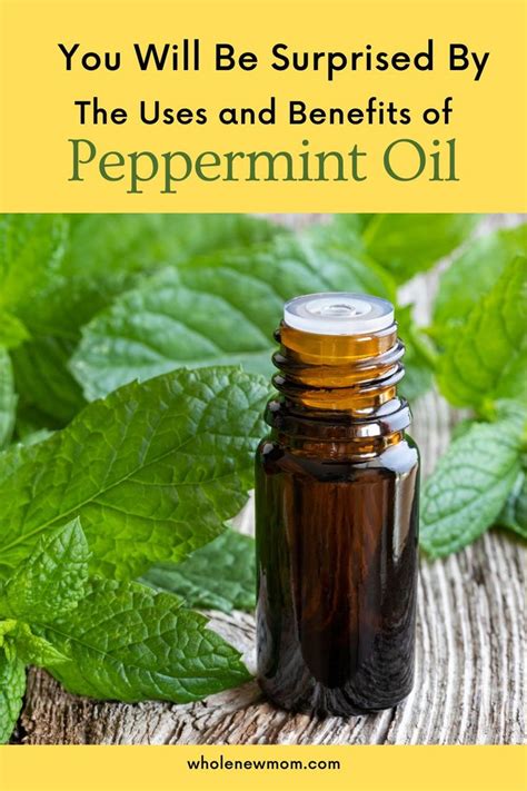 Peppermint Essential Oil Uses And Benefits Health And More