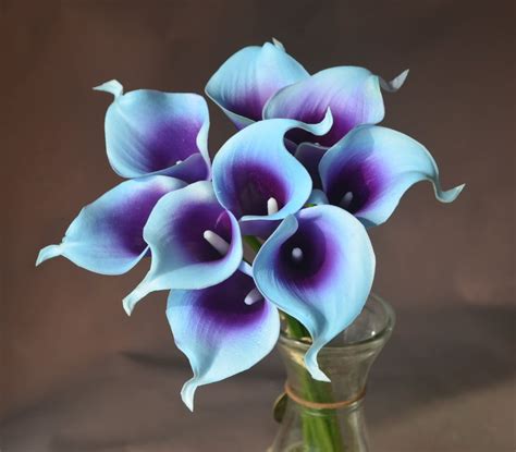 Blue Purple Picasso Calla Lilies Stems Real Touch Flowers Etsy