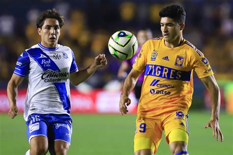 Tigres Y Club Puebla Abrir N El Apertura El Heraldo De Puebla