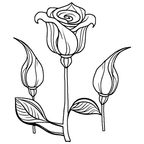 Rose Bud Coloring Page · Creative Fabrica