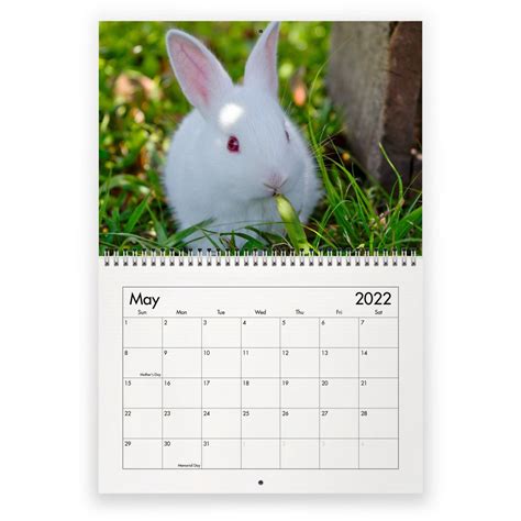 Rabbit 2022 Wall Calendar Id12274 Etsy