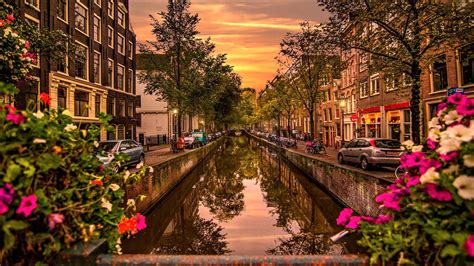 download canal house street man made amsterdam hd wallpaper