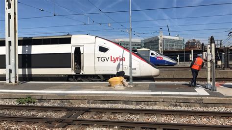 Rail Live 17 Tgv At Paris Lyon Station Youtube