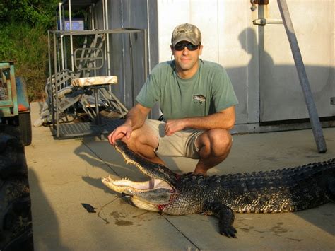 Alabama Outdoorsman Journal Alligator Hunting In Georgia 2014
