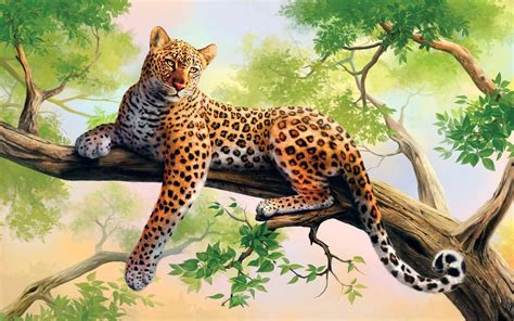 Lazy Leopard On The Tree Branch Hd Desktop Wallpaper Widescreen