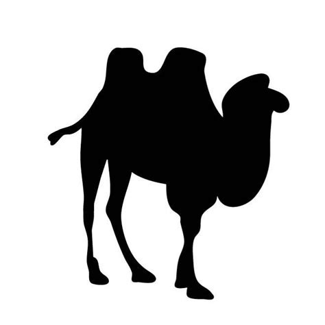 Silhouette Of A Camelai Royalty Free Stock Svg Vector And Clip Art