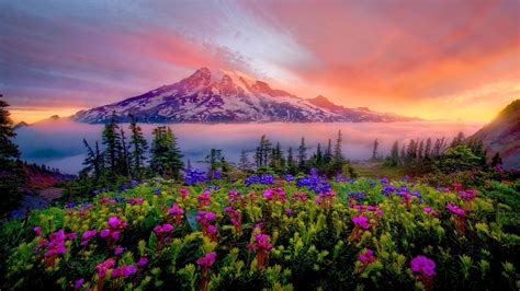 Beautiful spring wallpapers, pictures, images. Mount Rainier Wallpaper ·① WallpaperTag