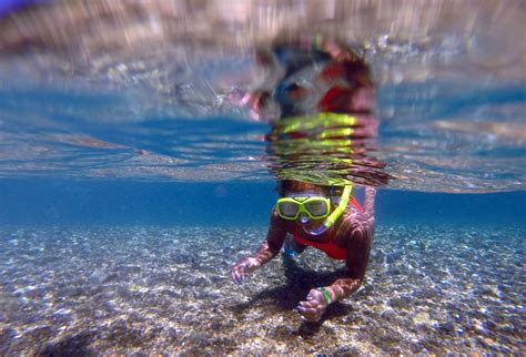 Exploring Catalina's Underwater World : Catalina Express