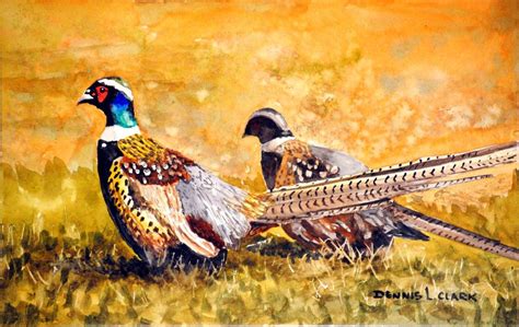 How To Paint Two Pheasant Birds In Watercolor — Online Art Lessons