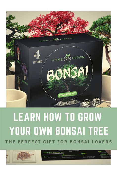 Home Grown Bonsai Tree Starter Kit In 2020 Bonsai Tree Plants