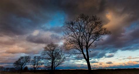 Stormy Sky Over Field And Trees Stock Image Image Of Disaster Scenic